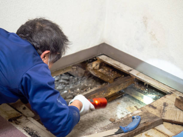 Water Damage Restoration in Middleton, WI