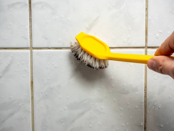 Best Same-Day Mold Removal  in Middleton, WI