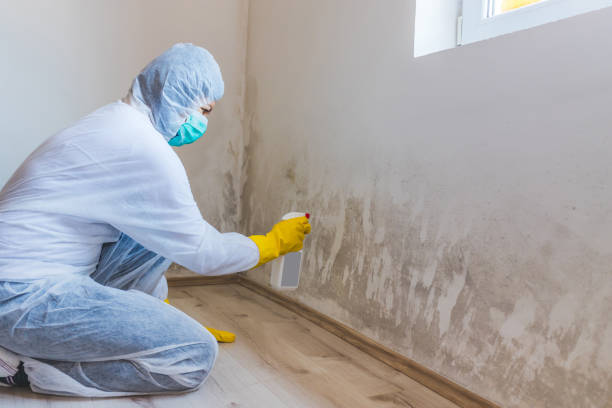 Mold Testing and Removal in Middleton, WI