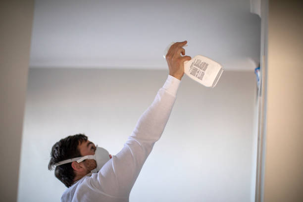 Best Mold Remediation Experts  in Middleton, WI
