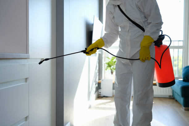 Best Mold Remediation  in Middleton, WI