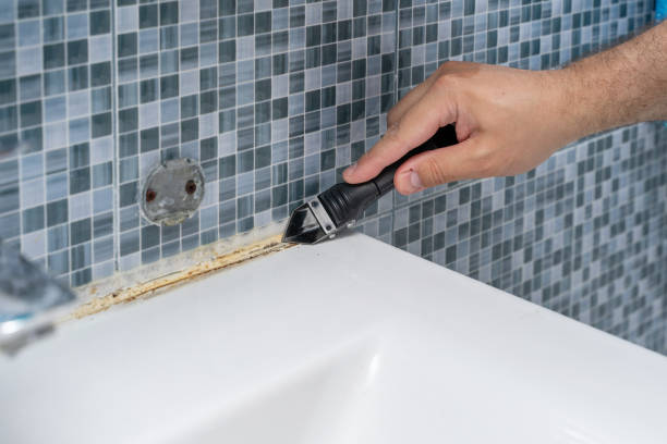 Best Mold Removal Near Me  in Middleton, WI