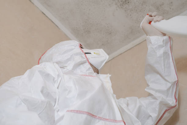 Best Certified Mold Removal  in Middleton, WI